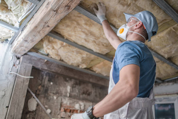 Best Residential Insulation in Milford Mill, MD