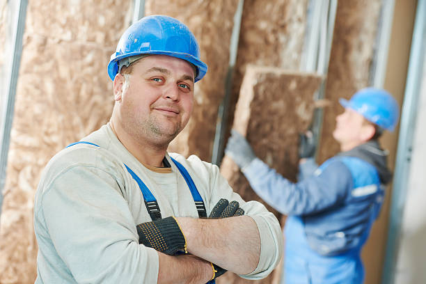 Best Eco-Friendly Insulation in Milford Mill, MD